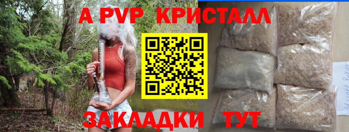 Альфа ПВП СК КРИС Кировск