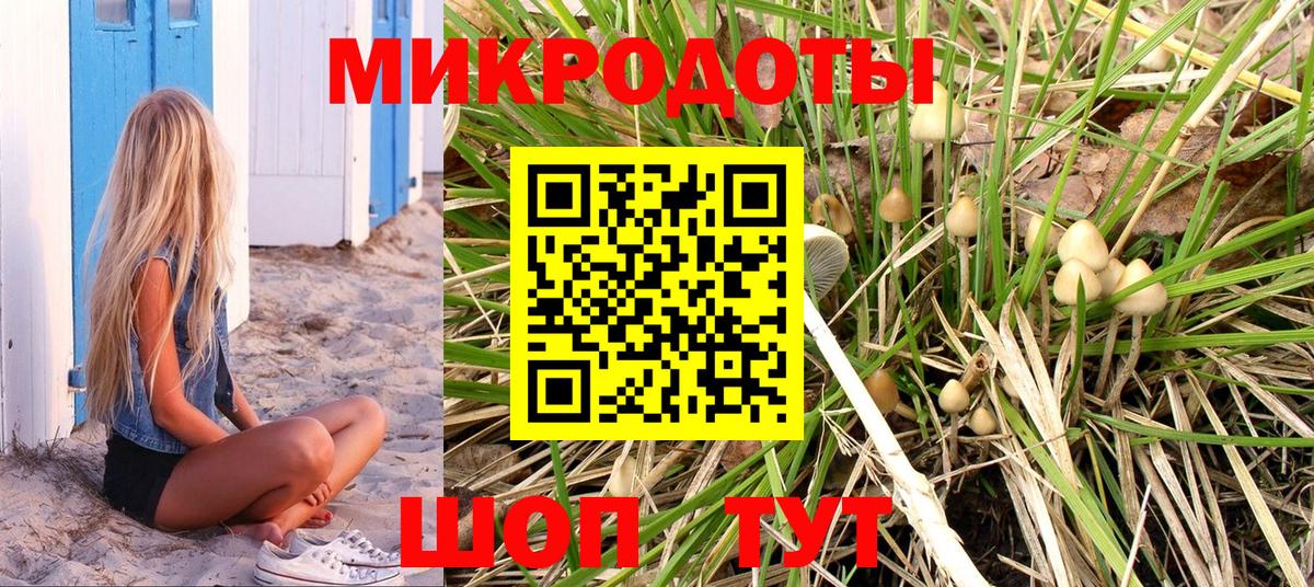 Кировск  Галлюциногенные грибы мицелий  Вход с VPN 